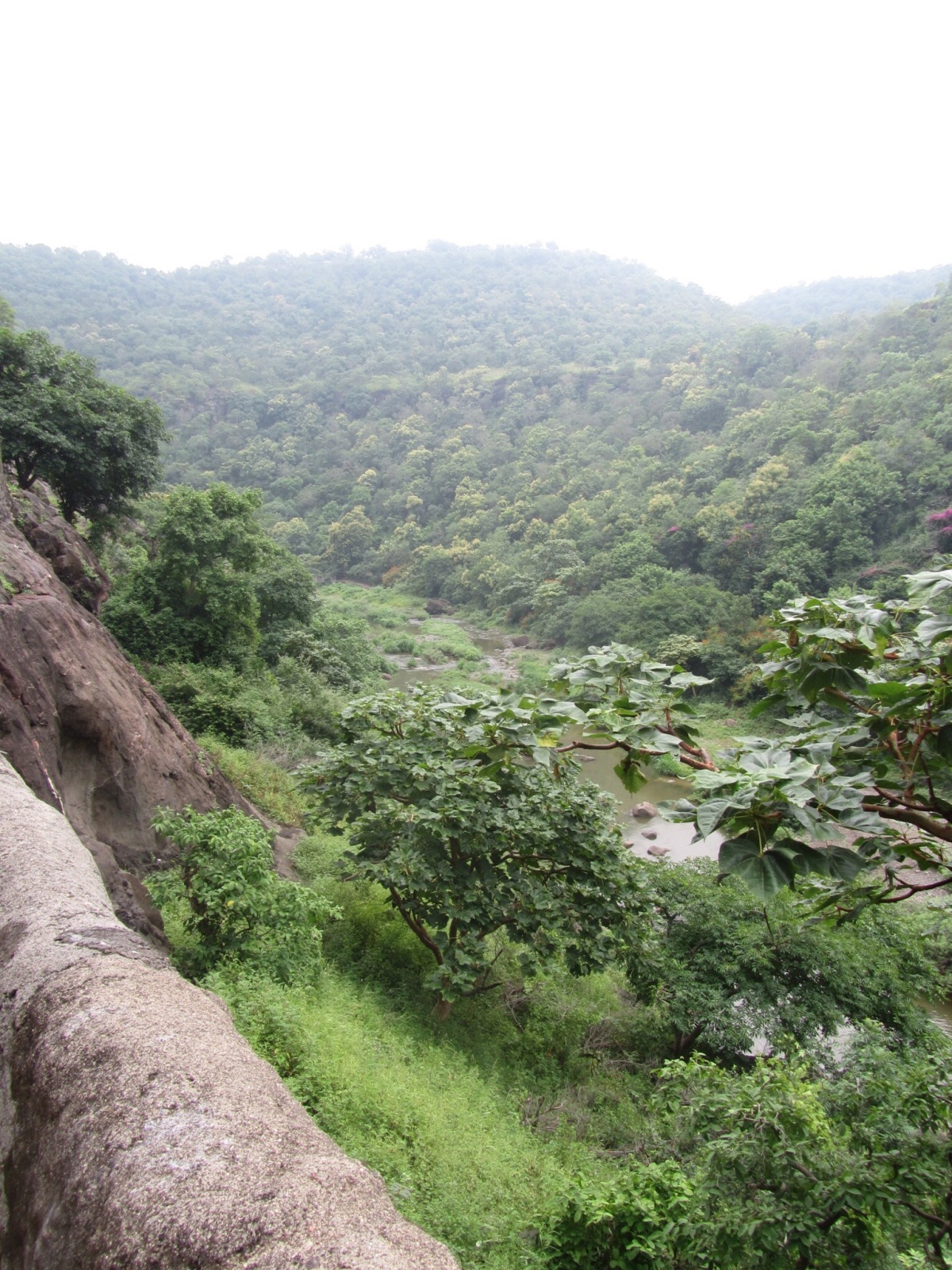 Caves and Castles: Aurangabad